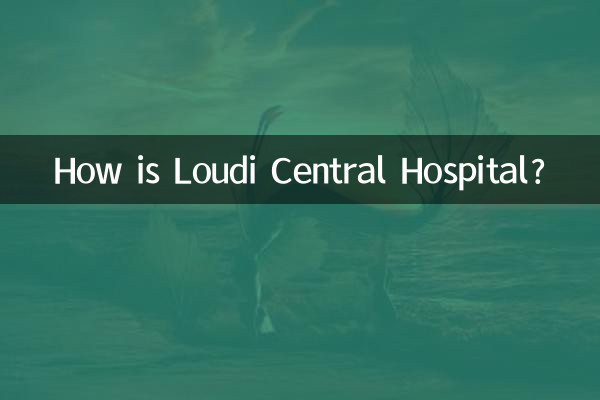 How is Loudi Central Hospital?