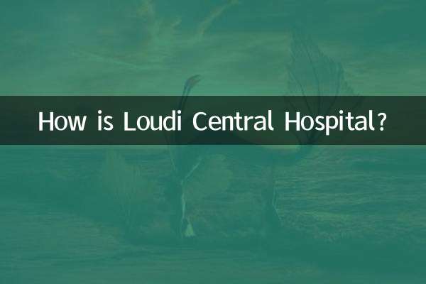 How is Loudi Central Hospital?