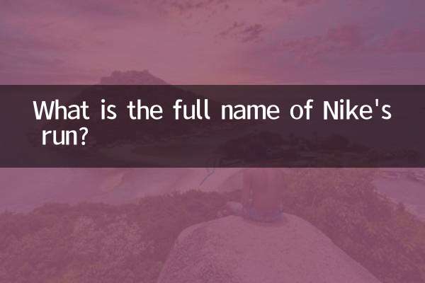 نائکی رن کا پورا نام کیا ہے؟