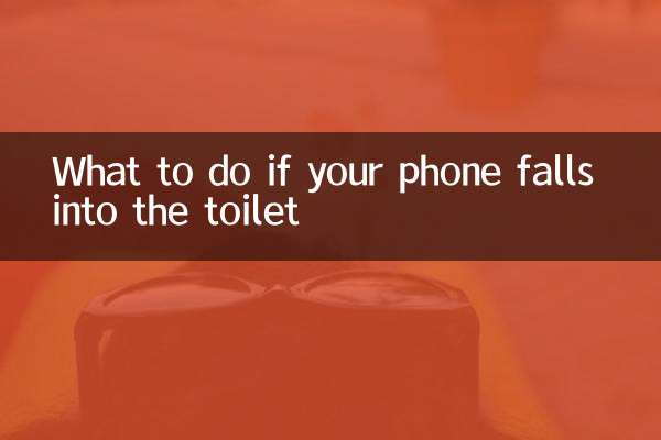 What to do if your phone falls into the toilet