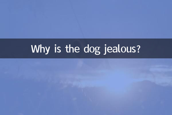 Why is the dog jealous?