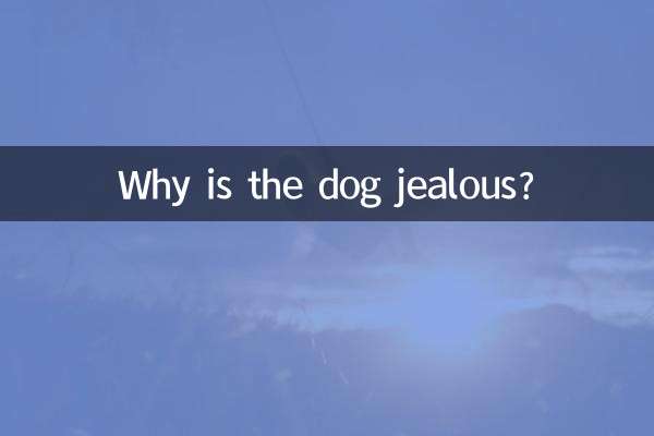 Why is the dog jealous?