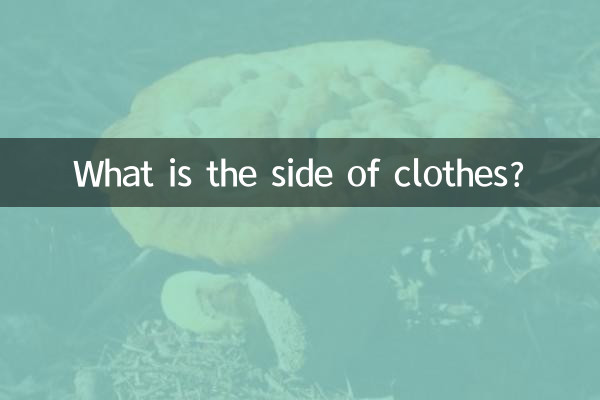 Qual è il lato dei vestiti?