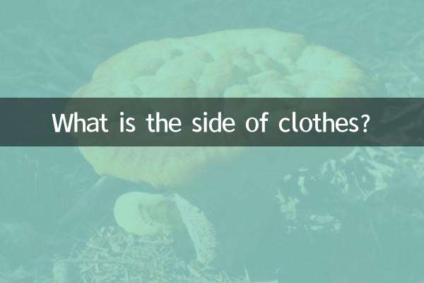 طرف لباس چیست؟