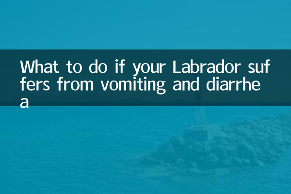 What to do if your Labrador suffers from vomiting and diarrhea