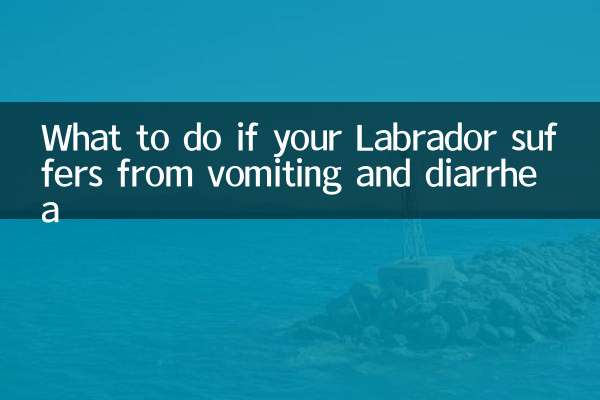 What to do if your Labrador suffers from vomiting and diarrhea