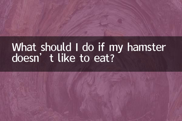 What should I do if my hamster doesn’t like to eat?
