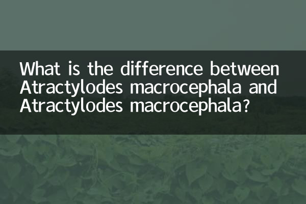What is the difference between Atractylodes macrocephala and Atractylodes macrocephala?