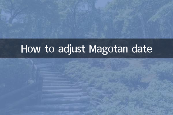Como ajustar a data do Magotan