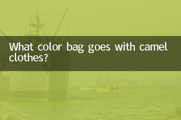 উটের কাপড়ের সাথে কোন রঙের ব্যাগ যায়?