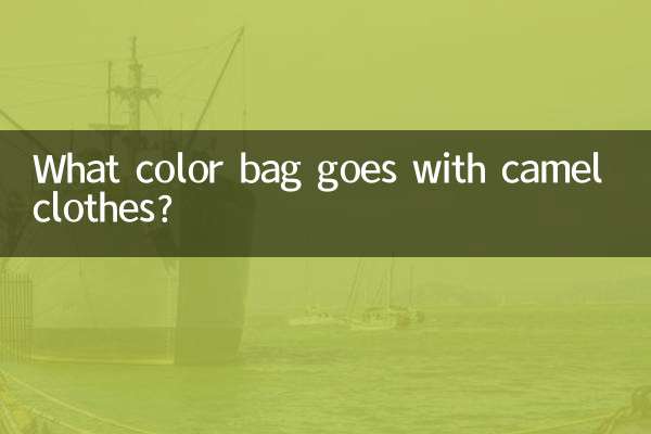 উটের কাপড়ের সাথে কোন রঙের ব্যাগ যায়?