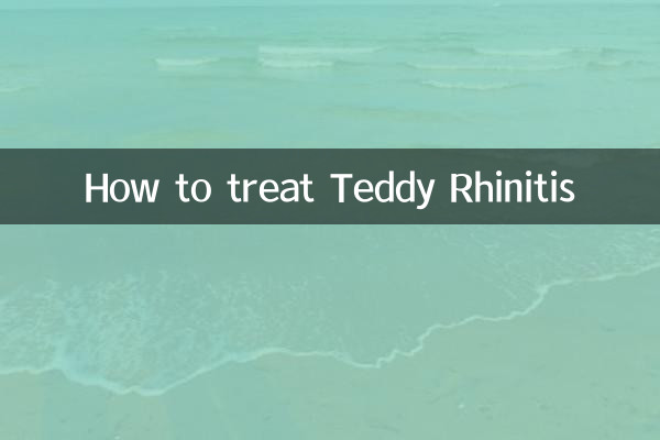 테디 비염 치료 방법