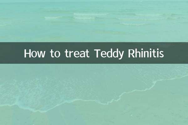 테디 비염 치료 방법