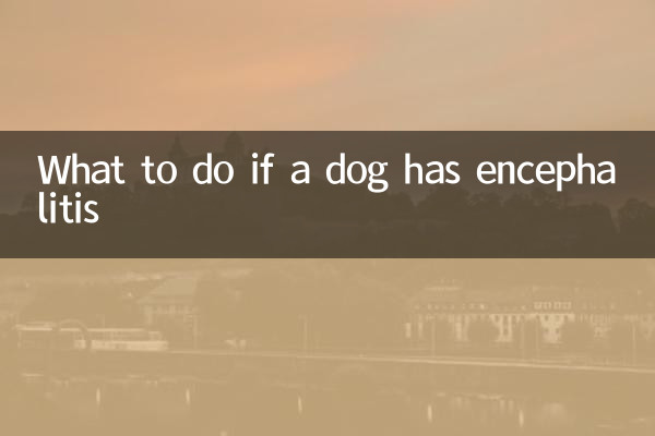 脑炎的狗怎么办