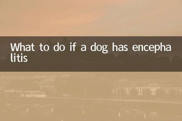 脑炎的狗怎么办