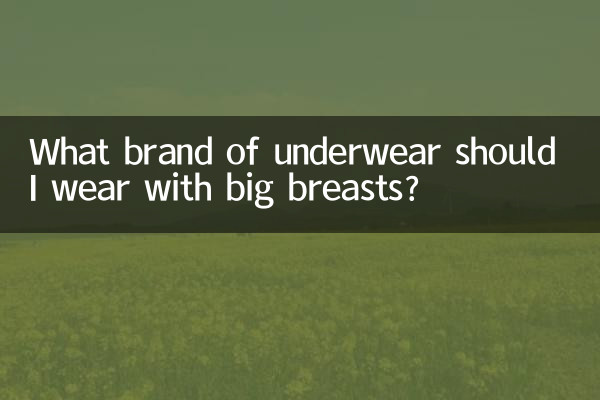 What brand of underwear should I wear with big breasts?