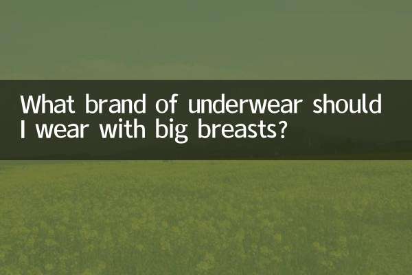What brand of underwear should I wear with big breasts?