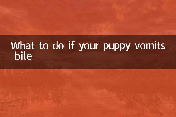 ماذا تفعل إذا كان جروك يتقيأ الصفراء