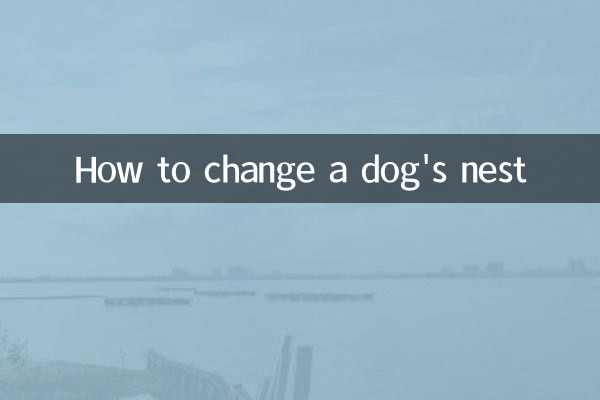 怎麼給狗狗換窩