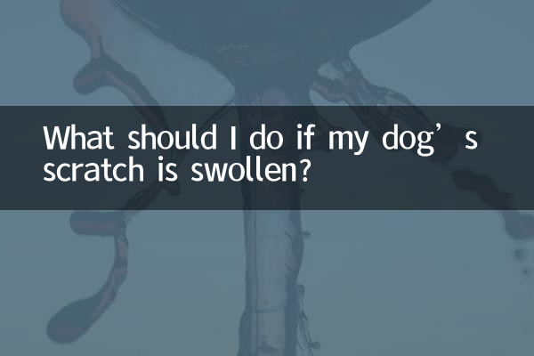 What should I do if my dog’s scratch is swollen?