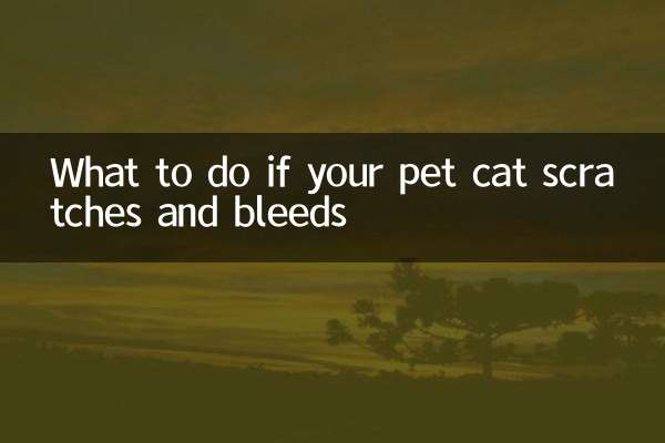 اگر گربه حیوان خانگی شما خراشید و خونریزی کرد چه باید کرد