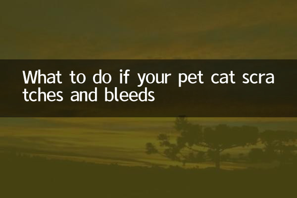 Что делать, если ваша домашняя кошка царапается и истекает кровью
