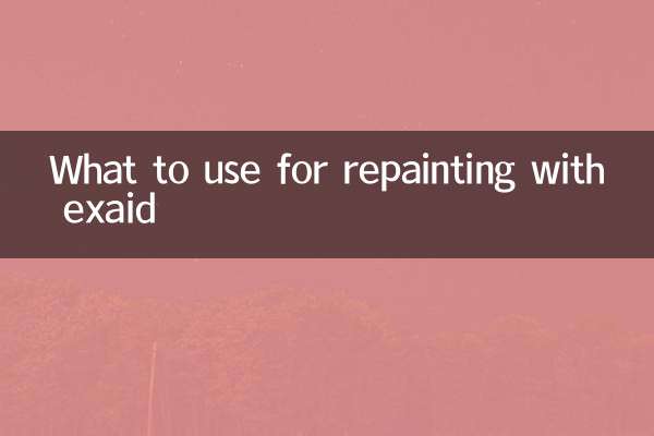 exaid重塗用什麼