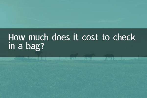 Combien coûte l’enregistrement d’un bagage ?