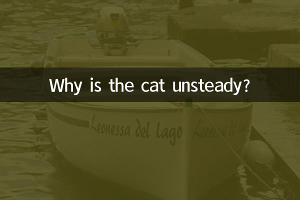 Por que o gato está instável?