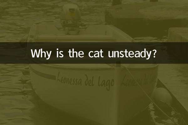 Por que o gato está instável?