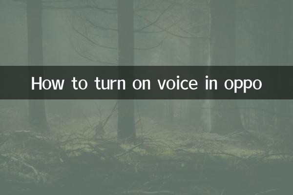 How to turn on voice in oppo