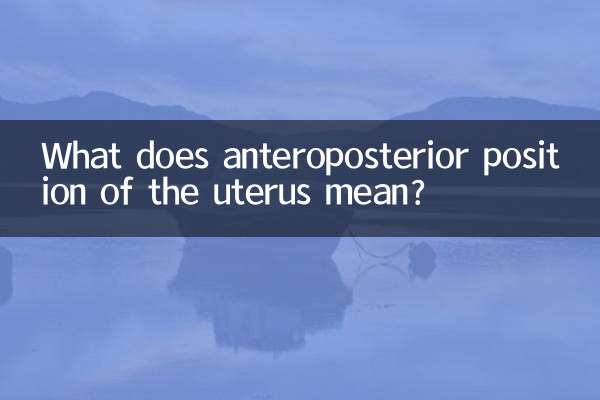 子宫前后位什么意思