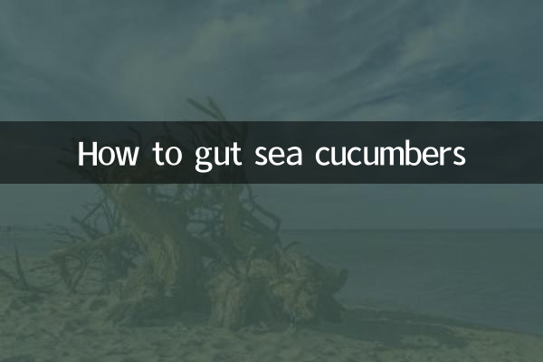 Как потрошить трепанги