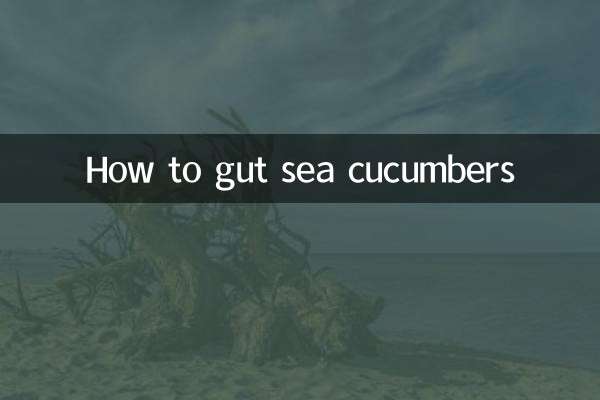 Come sventrare i cetrioli di mare