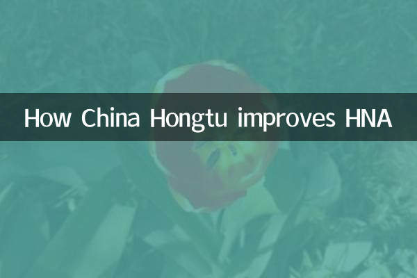 华夏宏图怎么提升海航