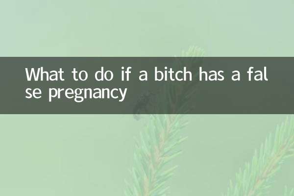 Что делать, если у суки ложная беременность