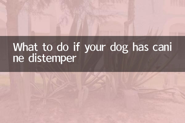 What to do if your dog has canine distemper