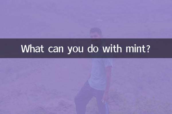 Cosa puoi fare con la menta?