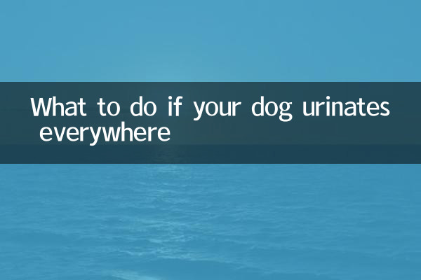 আপনার কুকুর সর্বত্র প্রস্রাব করলে কি করবেন