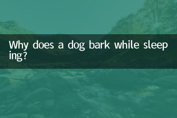 Warum bellt ein Hund im Schlaf?