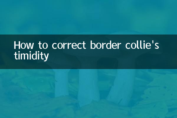怎麼糾正邊牧膽小
