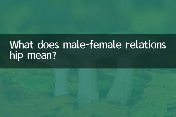 What does male-female relationship mean?