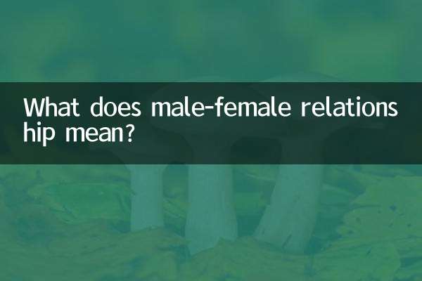 What does male-female relationship mean?