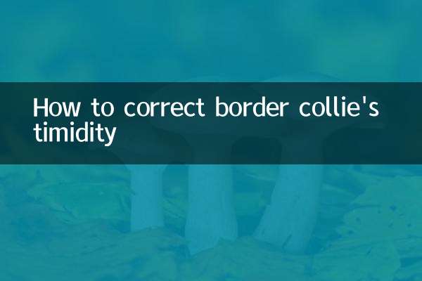 怎麼糾正邊牧膽小