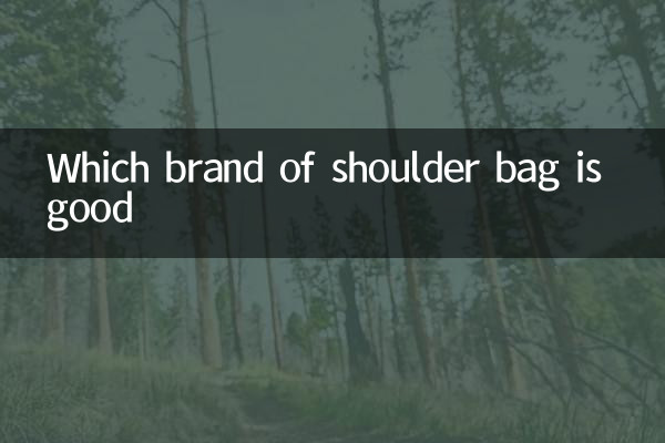 Which brand of shoulder bag is good
