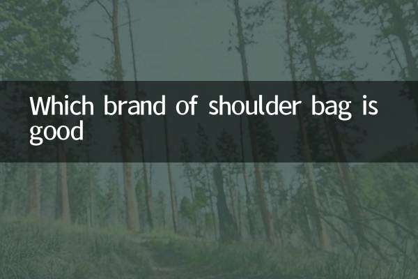 Which brand of shoulder bag is good