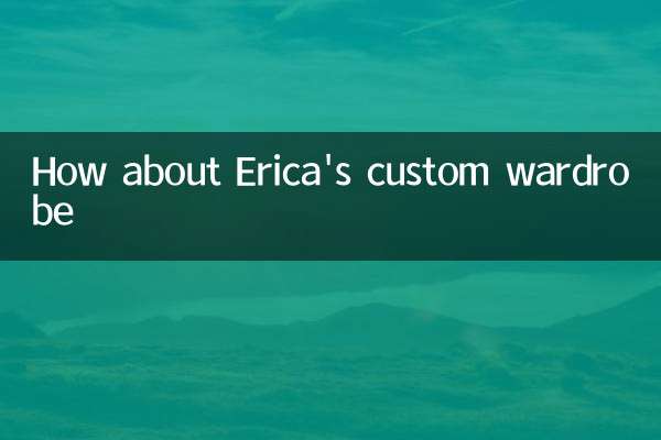 Que tal o guarda -roupa personalizado de Erica