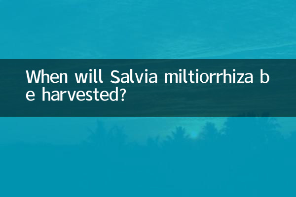 When will Salvia miltiorrhiza be harvested?