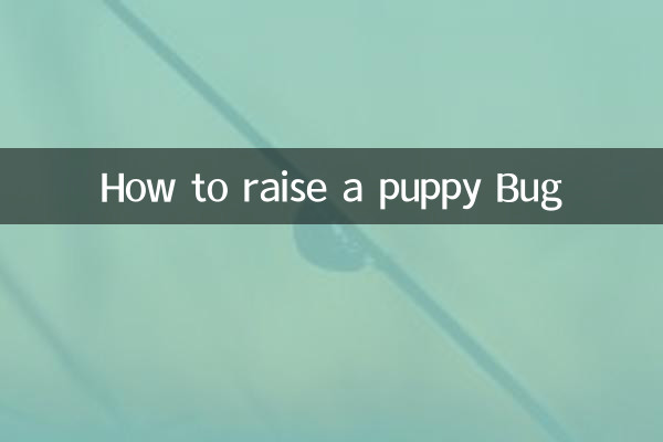 How to raise a puppy Bug