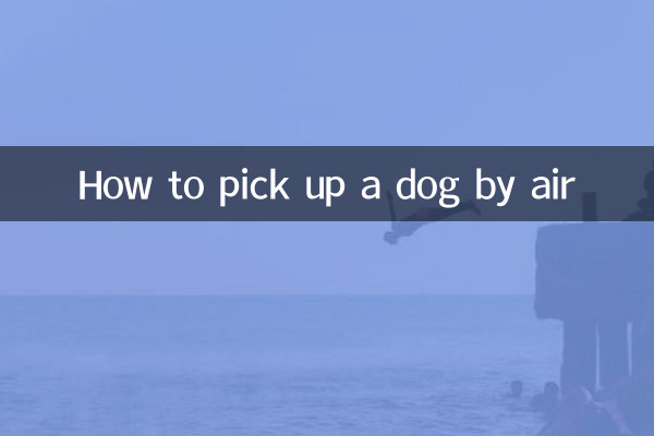 How to pick up a dog by air